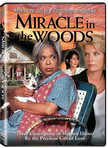 Постер: Miracle in the Woods