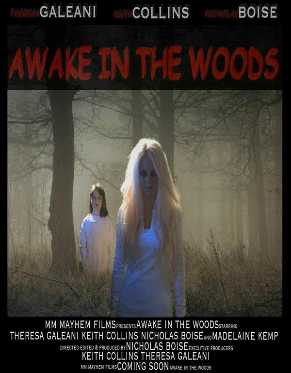 Постер: Awake in the Woods