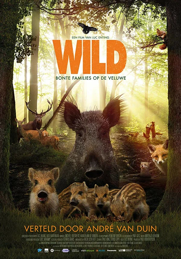 Постер: Wild