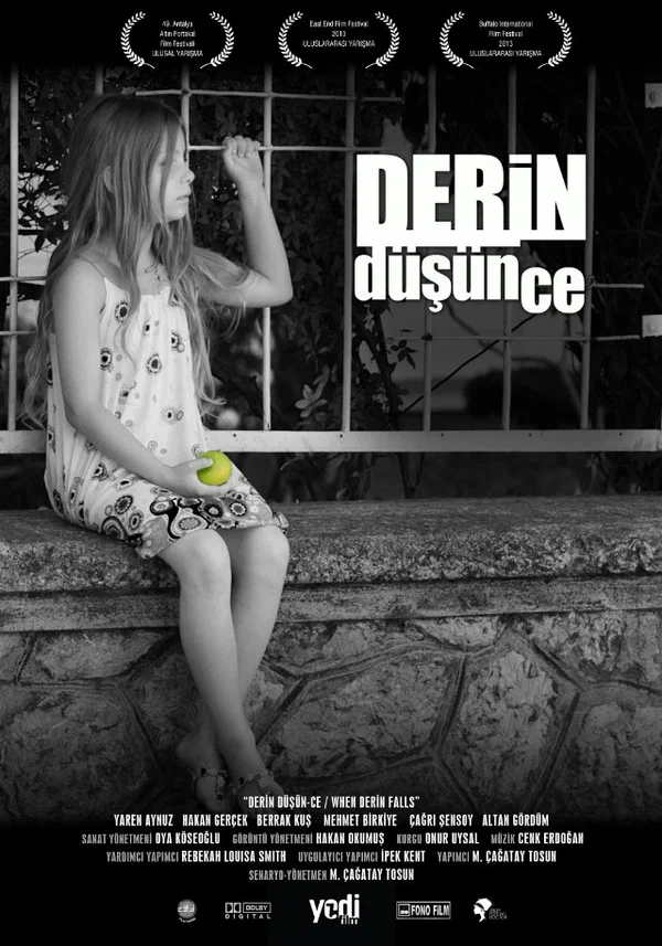 Постер: Derin Düsün-ce