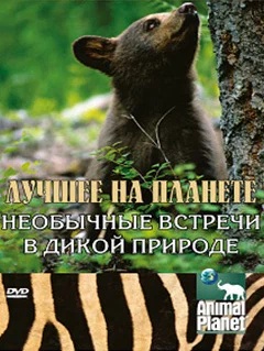 Постер: Animal Planet: Лучшее на планете