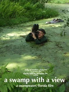 Постер: A Swamp with a View