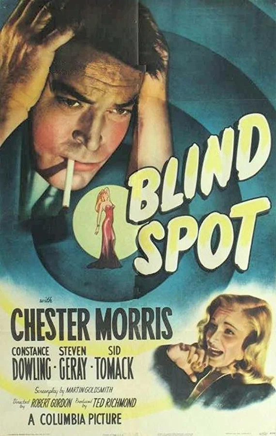 Постер: Blind Spot