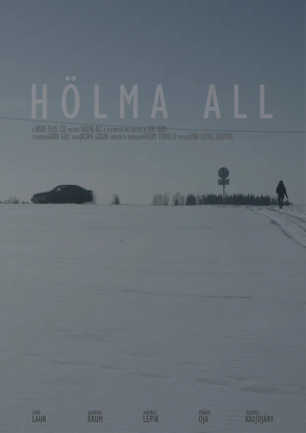 Постер: Hölma all