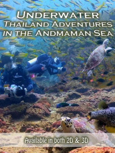 Постер: Underwater Thailand: Swimming with Sharks