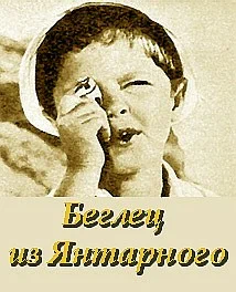 Постер: Беглец из «Янтарного»