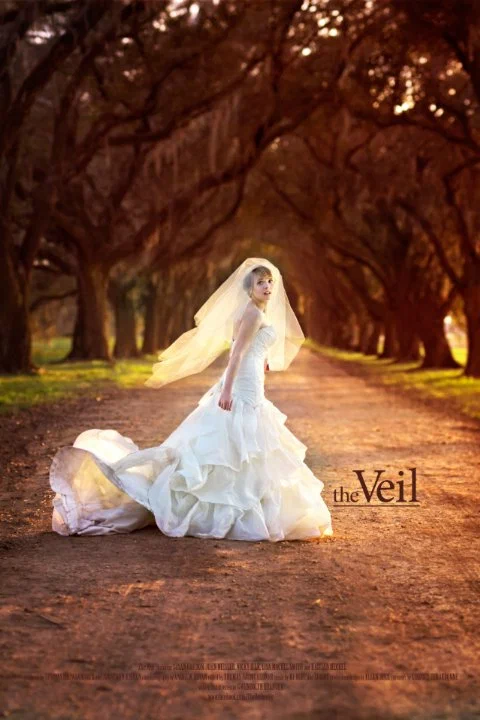 Постер: The Veil