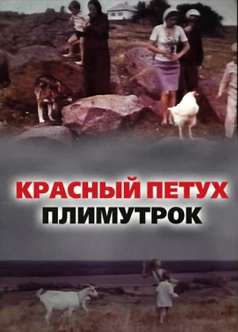 Постер: Красный петух плимутрок