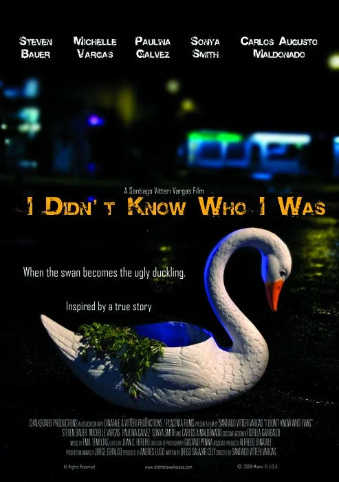 Постер: I Didn't Know Who I Was