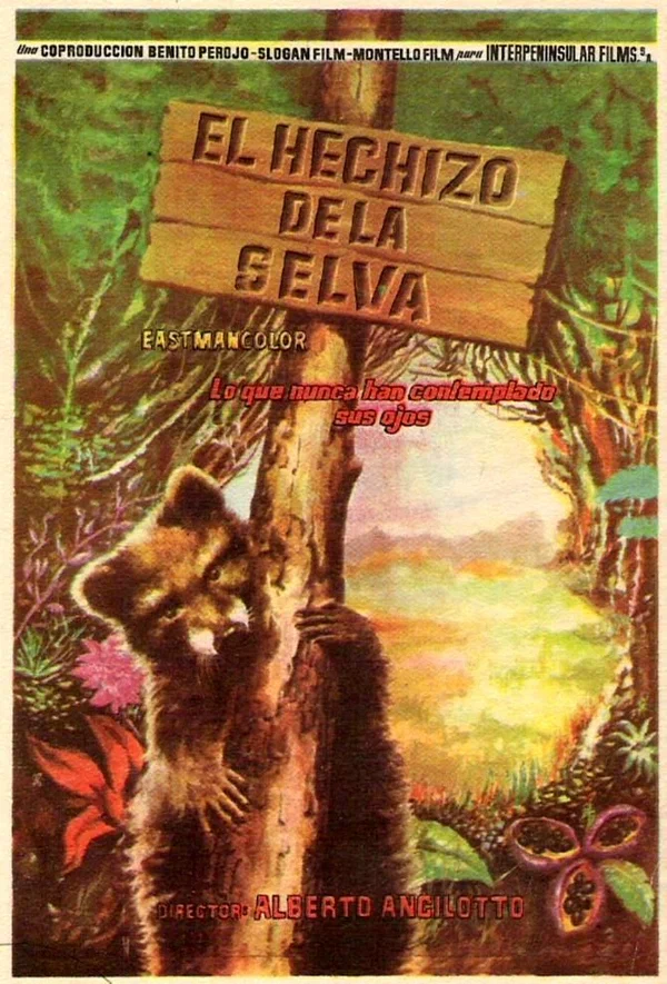 Постер: L'incanto della foresta