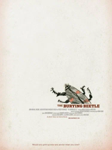 Постер: The Burying Beetle