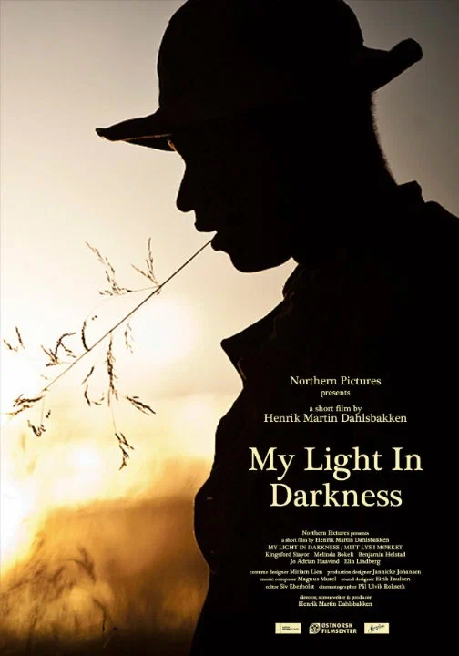 Постер: My Light in Darkness