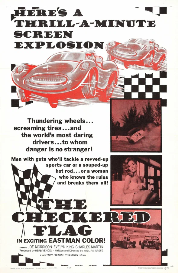 Постер: The Checkered Flag