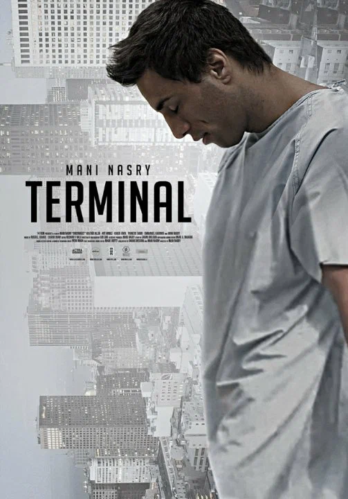 Постер: Terminal