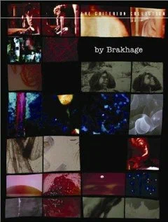 Постер: The Stars Are Beautiful