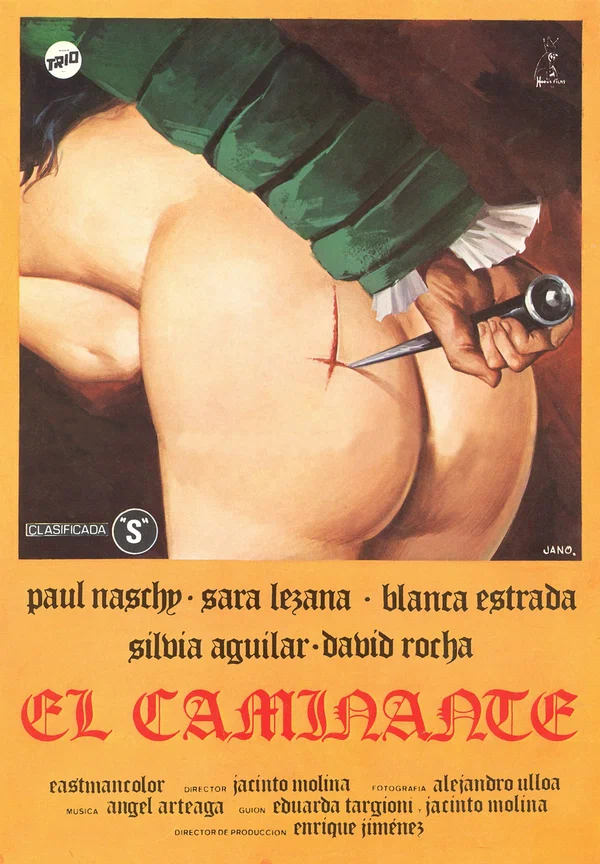 Постер: Странник
