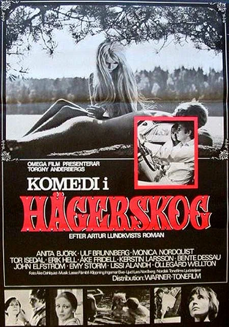 Постер: Комедия в Хегерскуге