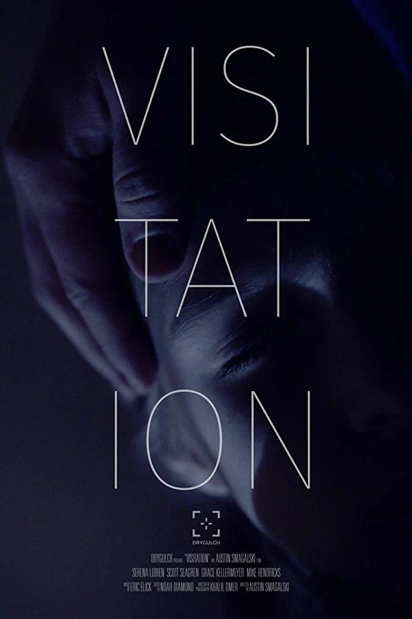 Постер: Visitation