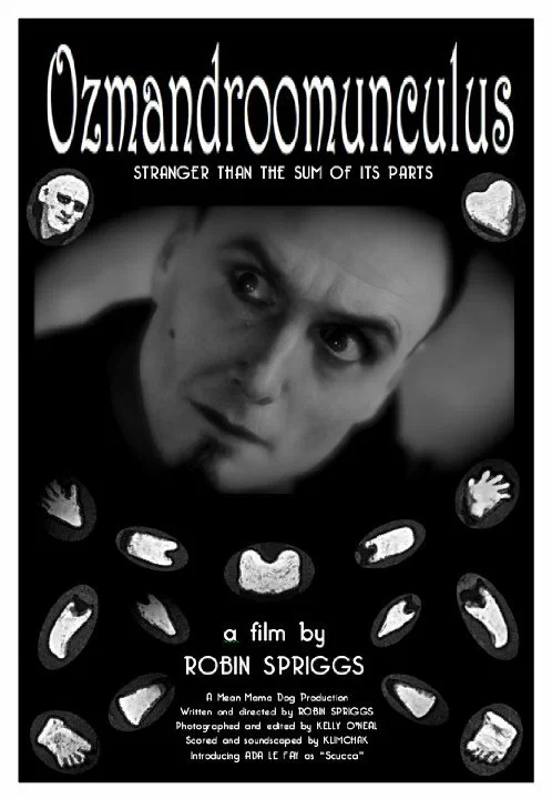 Постер: Ozmandroomunculus
