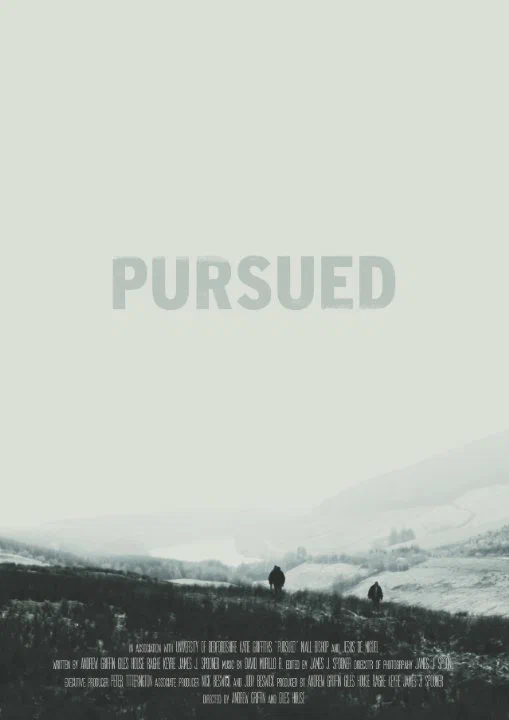 Постер: Pursued