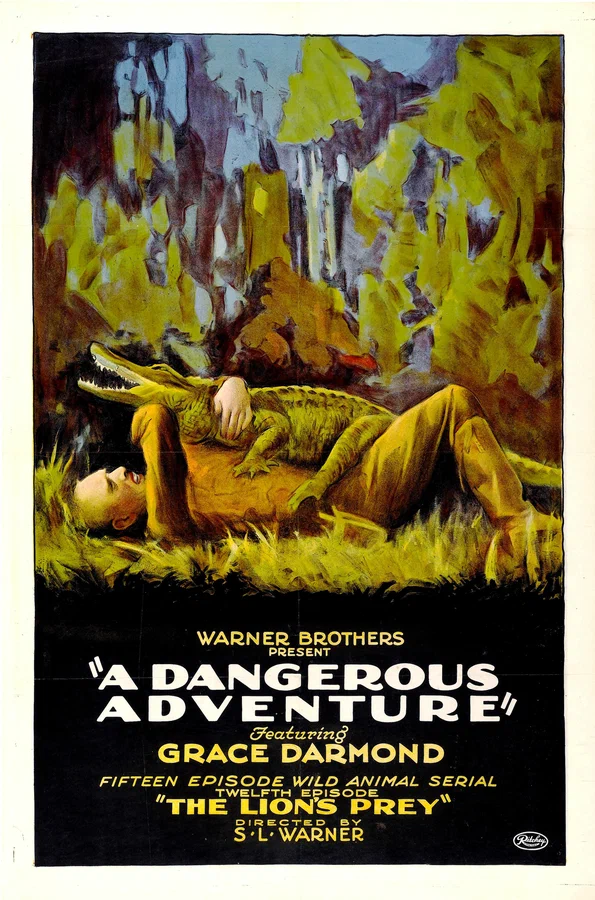 Постер: A Dangerous Adventure