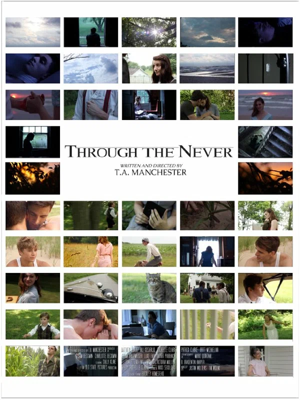 Постер: Through the Never