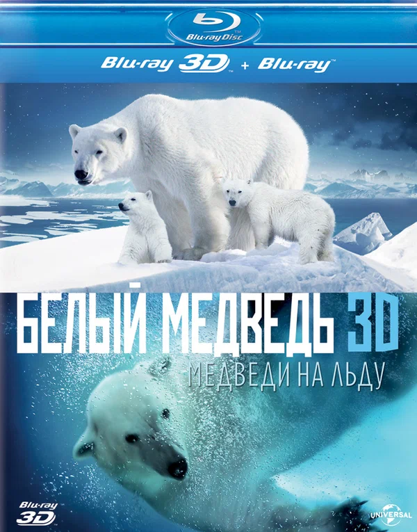 Постер: Полярные медведи