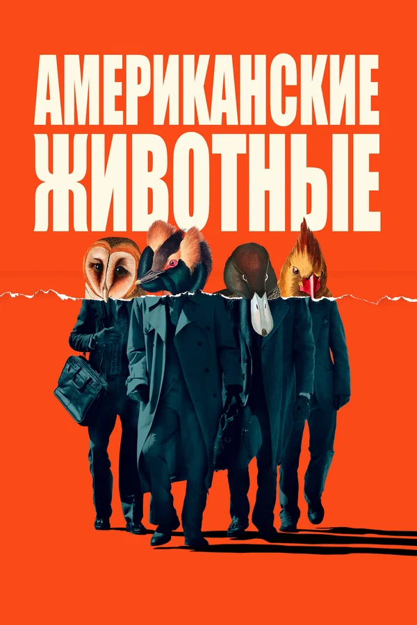 Постер: Американские животные