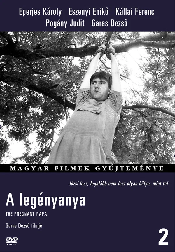 Постер: A legényanya