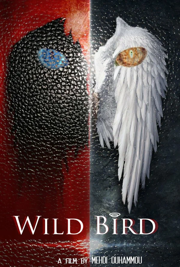 Постер: Wild Bird