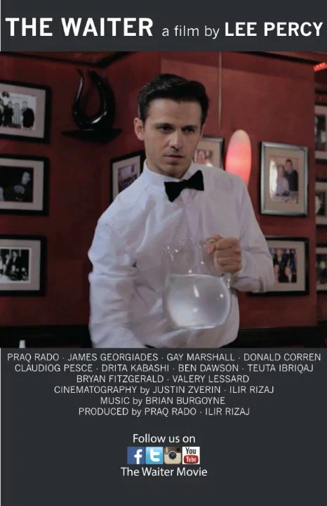 Постер: The Waiter