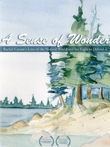 Постер: A Sense of Wonder