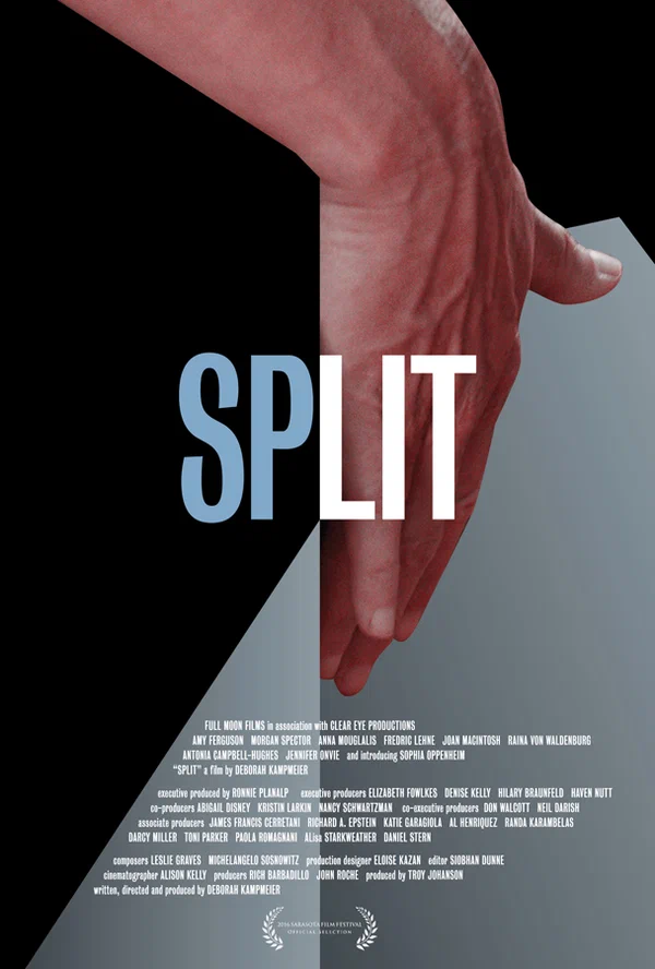 Постер: Split