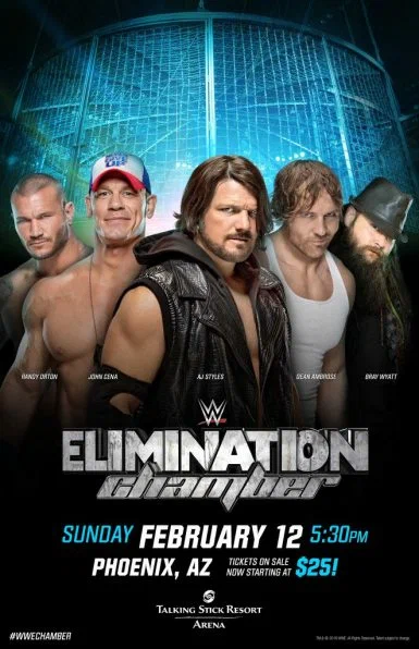 Постер: WWE Камера ликвидации