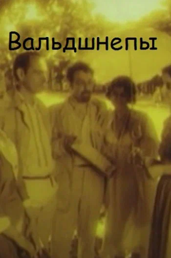 Постер: Вальдшнепы