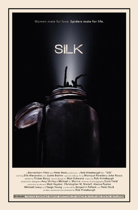 Постер: Silk