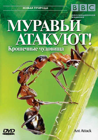 Постер: BBC: Муравьи атакуют