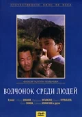 Постер: Волчонок среди людей