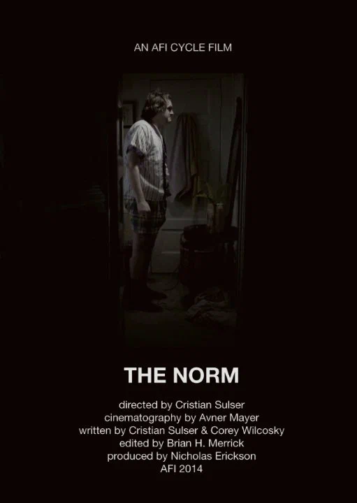 Постер: The Norm