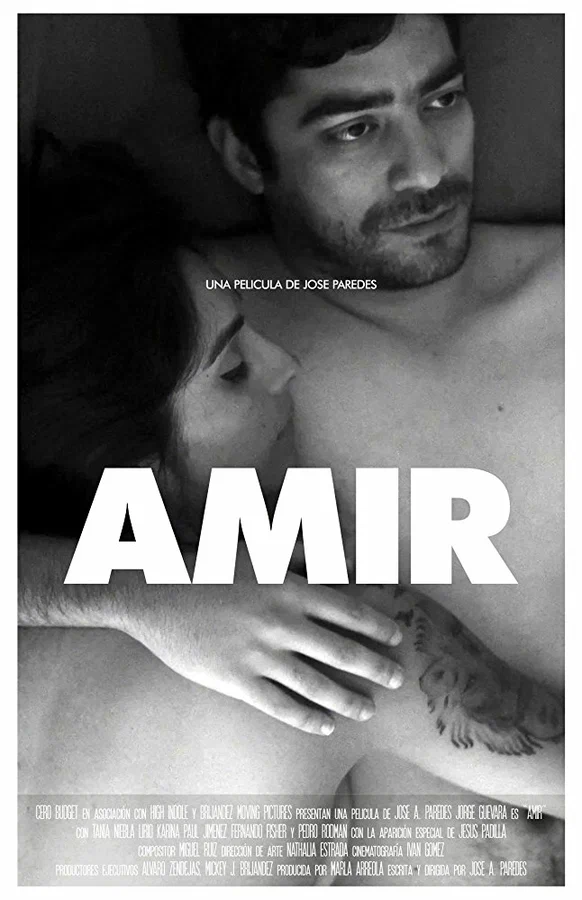 Постер: Amir