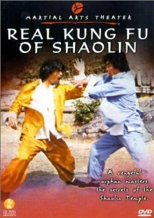 Постер: Real Kung Fu Of Shaolin