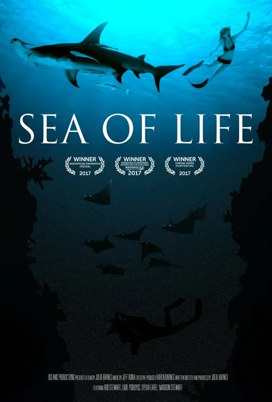 Постер: Море жизни