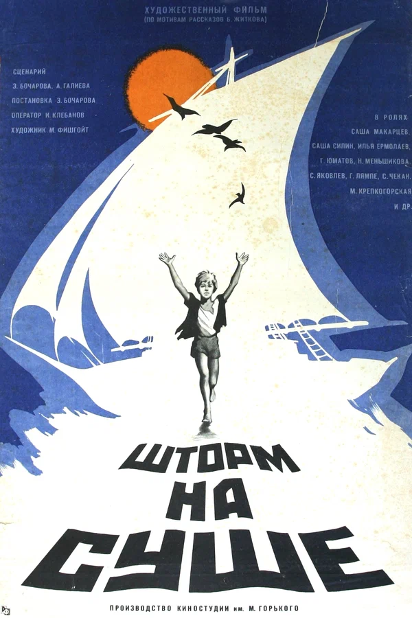 Постер: Шторм на суше