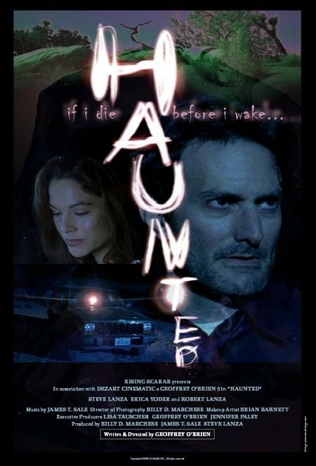 Постер: Haunted