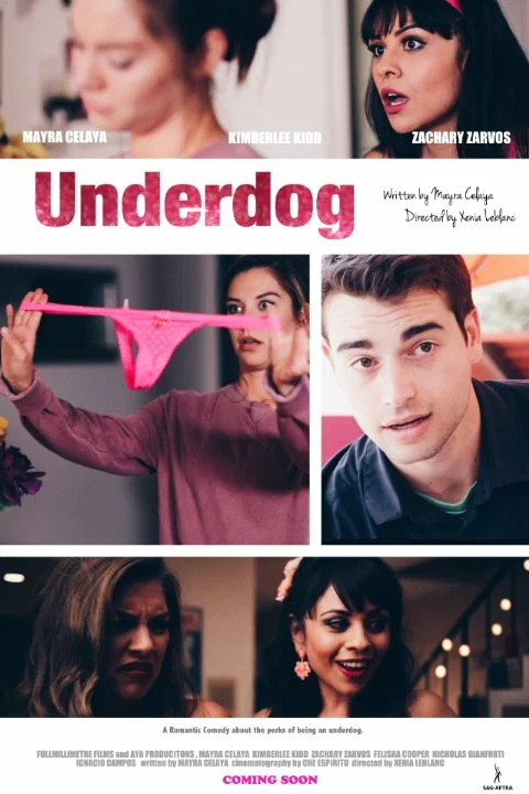 Постер: The Underdog