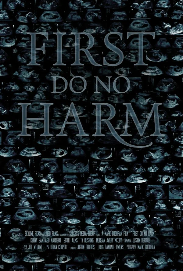 Постер: First, Do No Harm