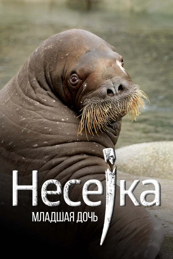 Постер: Несейка. Младшая дочь
