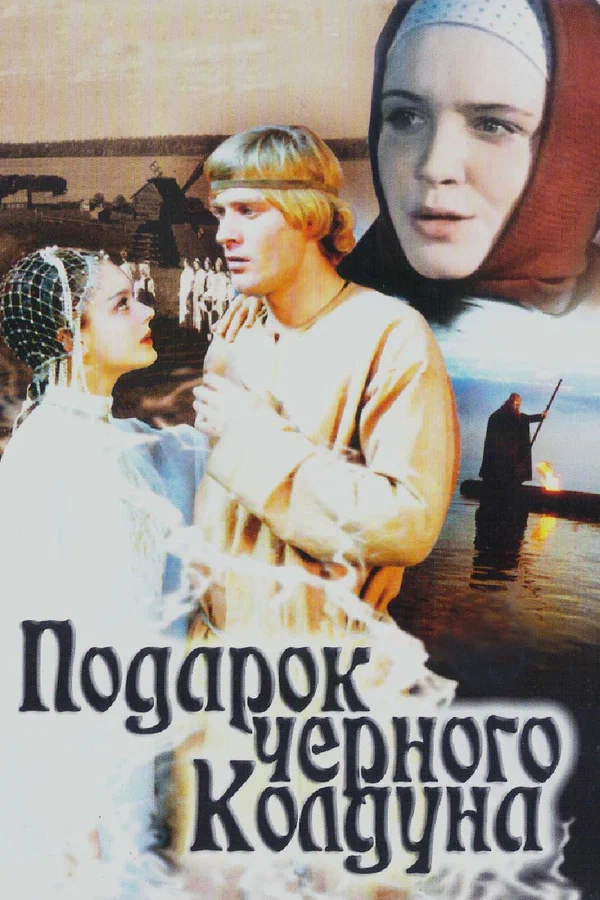 Постер: Подарок черного колдуна