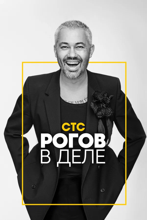 Постер: Рогов в деле