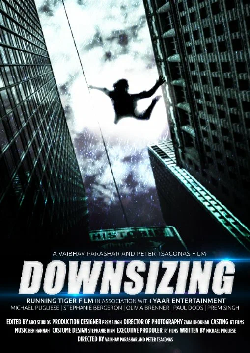Постер: Downsizing